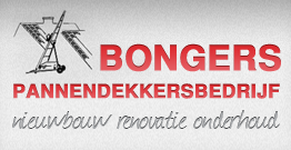 Bongers Pannendekkersbedrijf